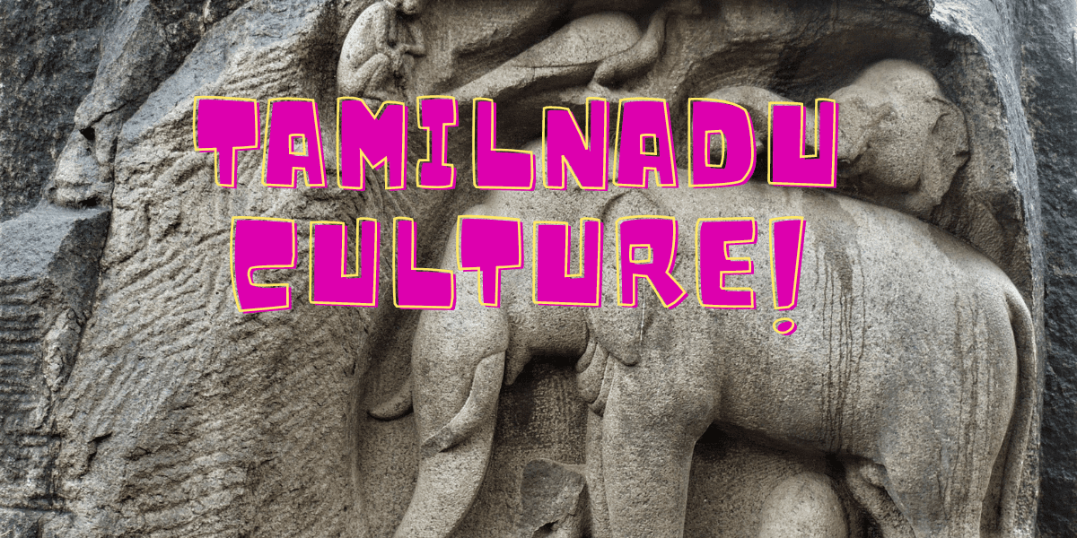 You are currently viewing Amazing Tamil Culture in Tamil Nadu
