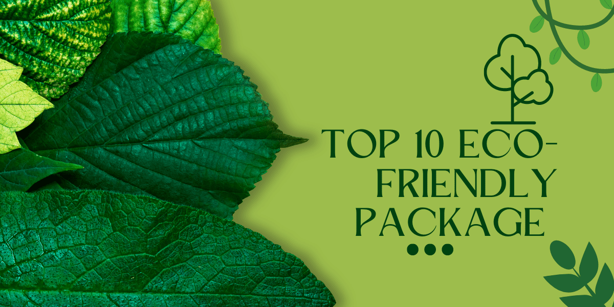 You are currently viewing Top 10 Eco-Friendly Packaging Solutions in India: Sustainable Choices for a Greener Future