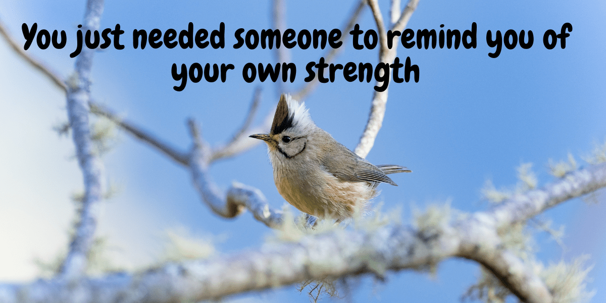 Read more about the article 2023 Tiny Bird Story – Does someone need to remind you of your own strength?